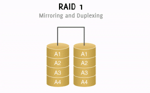 raid1